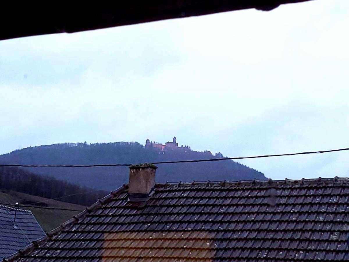 Charmant Appartement Alsacien Rodern Zewnętrze zdjęcie